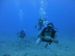 Hawaii Scuba divng 14