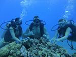 Hawaii Scuba divng 15