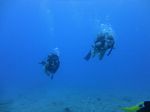 Hawaii Scuba divng 16