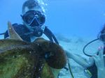 Hawaii Scuba divng 18