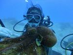 Hawaii Scuba divng 19