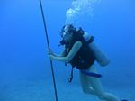 Hawaii Scuba divng 23