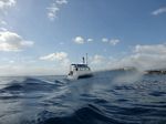 Hawaii Scuba divng 25