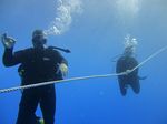 Hawaii Scuba divng 29