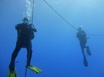 Hawaii Scuba divng 30