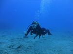 Hawaii Scuba divng 32