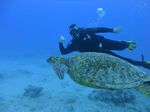 Hawaii Scuba divng 36