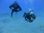 Hawaii Scuba divng 39