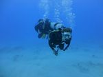 Hawaii Scuba divng 40