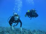 Hawaii Scuba divng 41