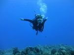 Hawaii Scuba divng 42