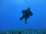 Hawaii Scuba divng 43