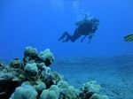 Hawaii Scuba divng 44