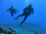 Hawaii Scuba divng 45