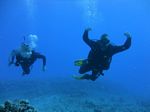 Hawaii Scuba divng 46