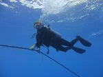 Hawaii Scuba divng 48