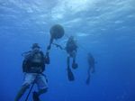 Hawaii Scuba divng 05