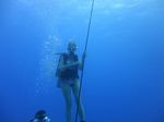 Hawaii Scuba divng 06