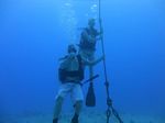 Hawaii Scuba divng 07