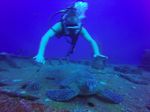 Hawaii Scuba divng 10