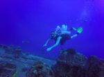 Hawaii Scuba divng 06