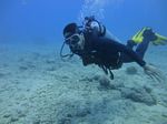 Hawaii Scuba divng 13