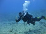 Hawaii Scuba divng 16