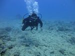 Hawaii Scuba divng 17