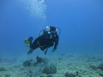 Hawaii Scuba divng 19