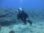 Hawaii Scuba divng 20