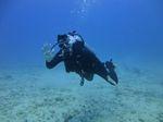 Hawaii Scuba divng 22