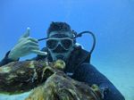 Hawaii Scuba divng 28