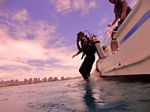 Hawaii Scuba divng 08