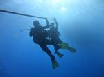 Oahu scuba 10