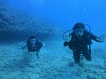 Oahu scuba 18