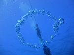 Oahu scuba 42