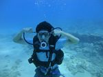 Hawaii scuba 88