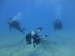 Hawaii Scuba divng 17