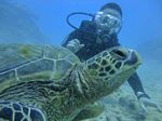 Hawaii Scuba divng 23