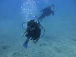 Hawaii Scuba divng 27