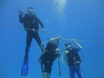 Hawaii Scuba divng 02