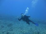 Hawaii Scuba divng 44