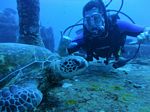 Hawaii Scuba divng 65