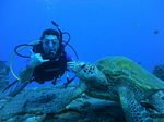 Hawaii Scuba divng 77