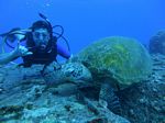 Hawaii Scuba divng 78