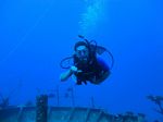 Hawaii Scuba divng 86