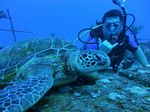 Hawaii Scuba divng 87