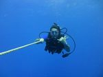 Hawaii Scuba divng 94