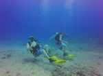 Hawaii Scuba divng 10