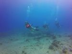 Hawaii Scuba divng 11